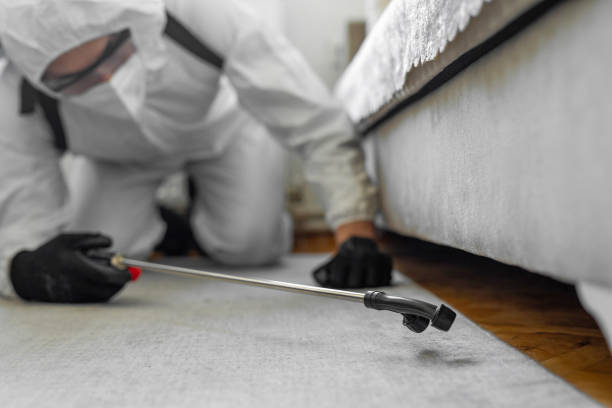 Professional Bed Bug Control technician working in Big Lake, TX